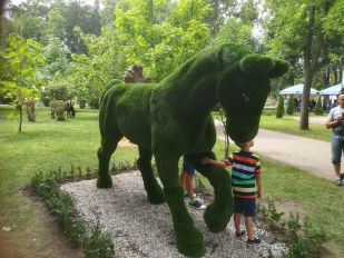 Brest’s Colors floral arrangement festival-contest