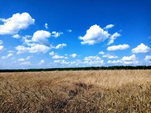 Trip to the Bezvodnoe village