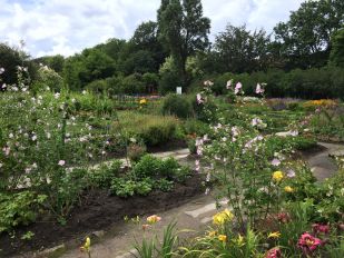 Botanic garden of the Immanuel Kant Baltic Federal University